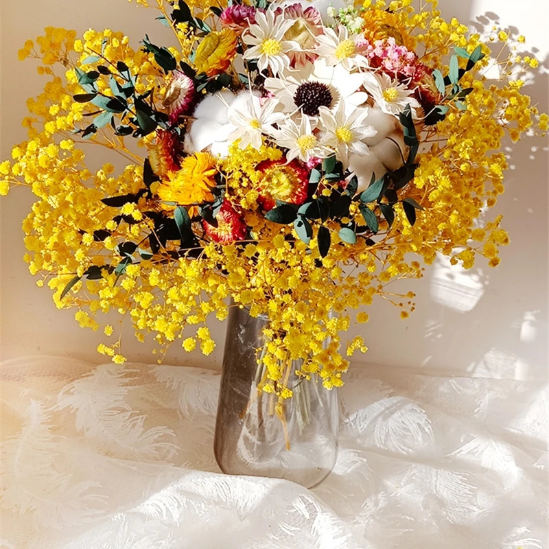 Baby Breath Dried - Natürliche getrocknete Blumen Gypsophila frisch konservierter