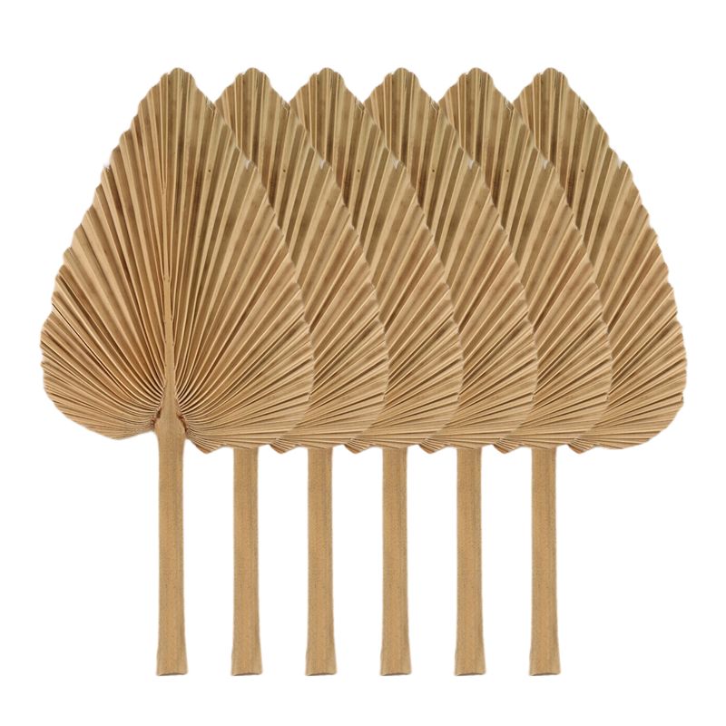 Palm Leaf Dried - AT84-6PCS Getrocknete Palmblätter, natürliche getrocknete Palmfächer,