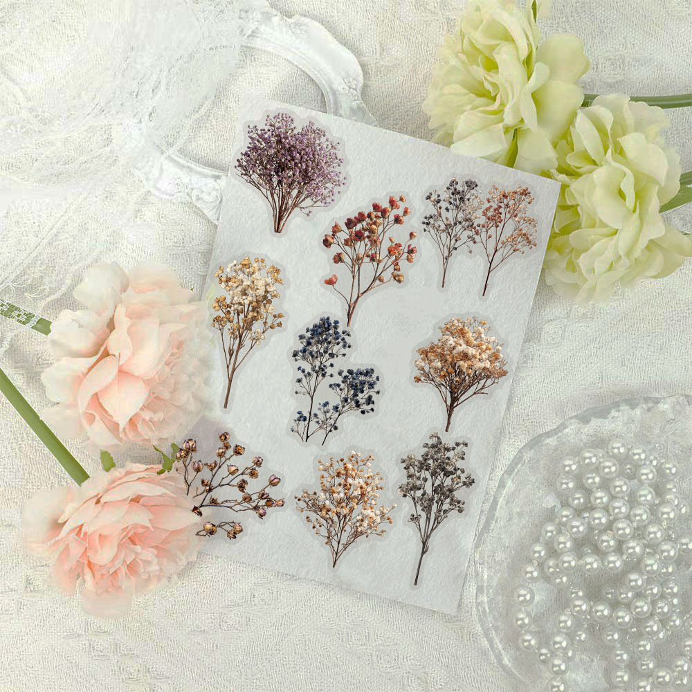Baby Breath Dried - 50 Stück Vintage getrockneter Schleierkraut-Aufkleber aus