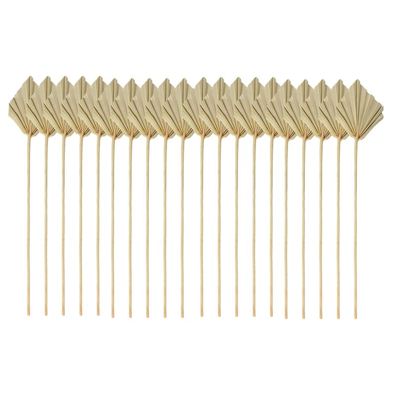 Palm Leaf Dried - ABYN-Boho Getrocknete Palmblätter Kleine Natürliche Getrocknete