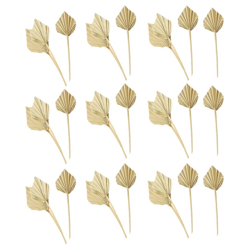 Palm Leaf Dried - AS60-30 Stück Boho Getrocknete Palmenfächer Natürliche