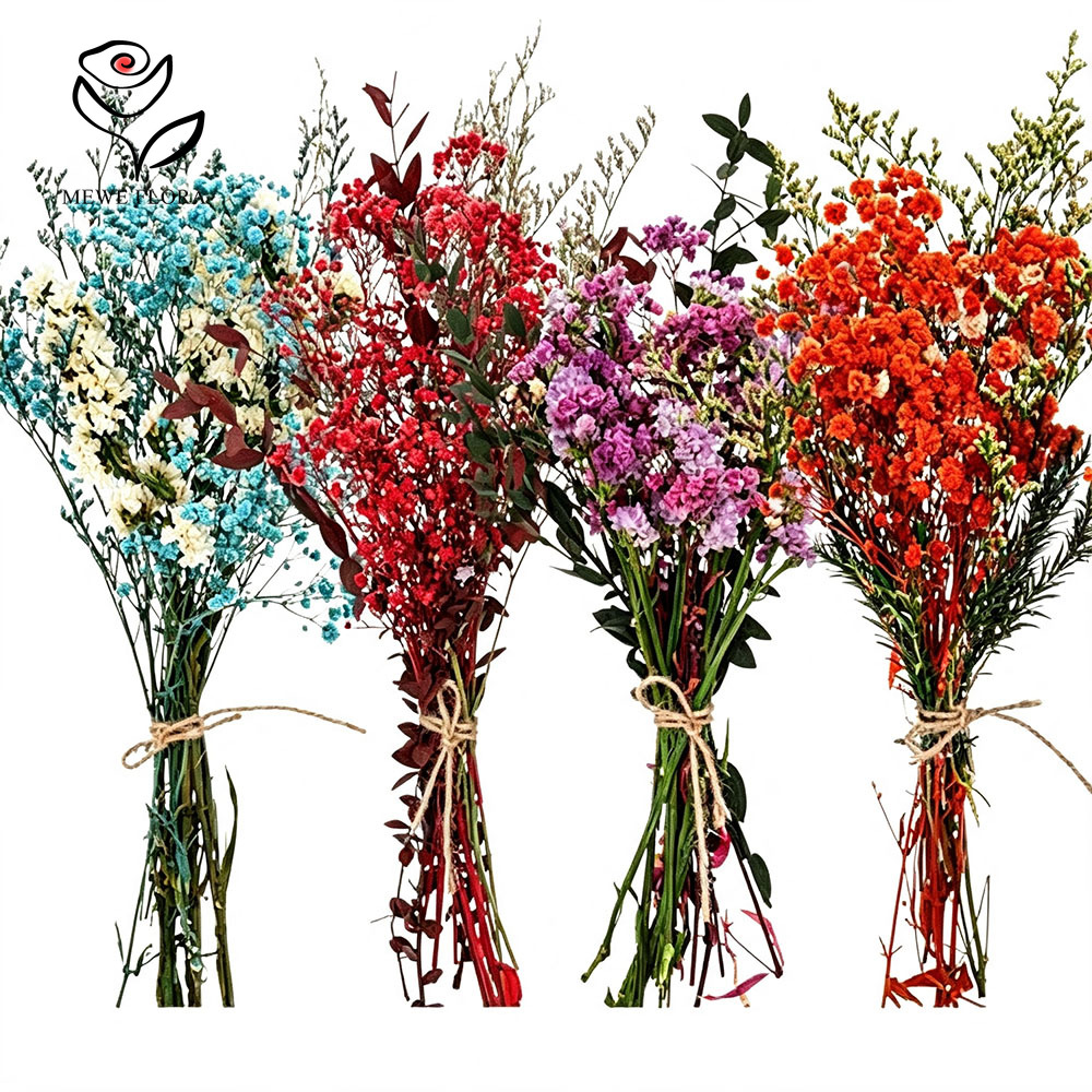 Baby Breath Dried - Bunte Getrocknete Blumen Natürlicher Schleierkraut 4
