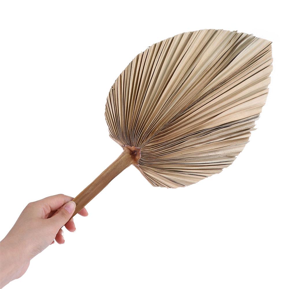 Palm Leaf Dried - Party Büro Boho Geschnittene Böhmische Natürliche