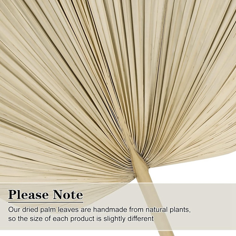 Palm Leaf Dried - Neue 6 getrocknete Palmblätter, natürliche getrocknete