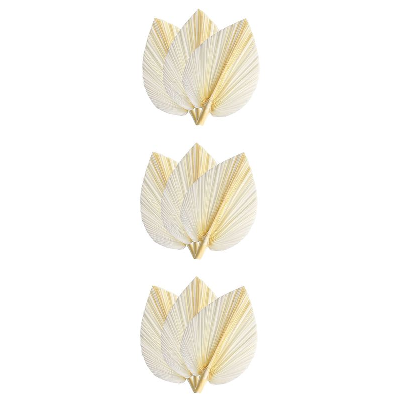 Palm Leaf Dried - Große Weiße Getrocknete Palmblätter - Premium-Qualität