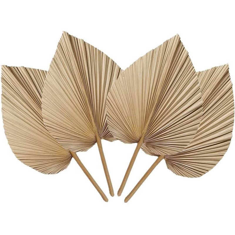 Palm Leaf Dried - Frische 4 Stück natürliche getrocknete Palmblätter
