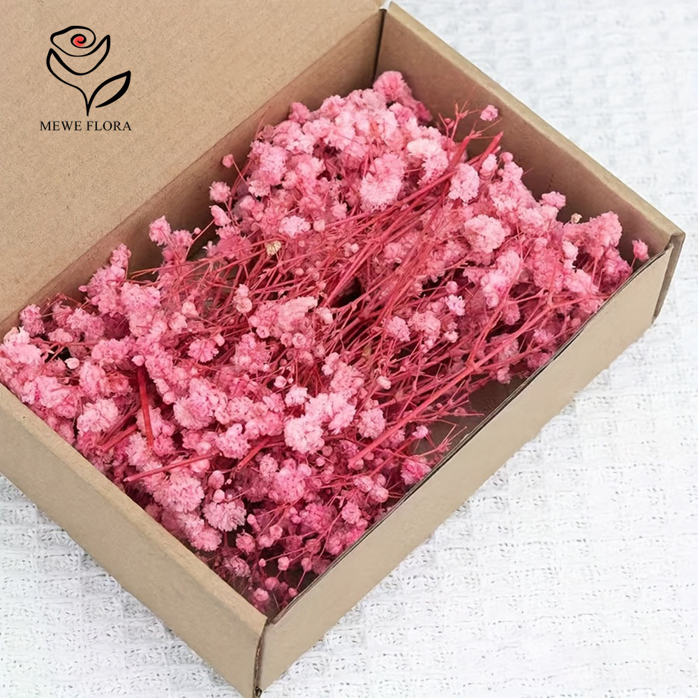 Baby Breath Dried - 100 kleine Zweige, getrocknete Schleierkrautblumen für