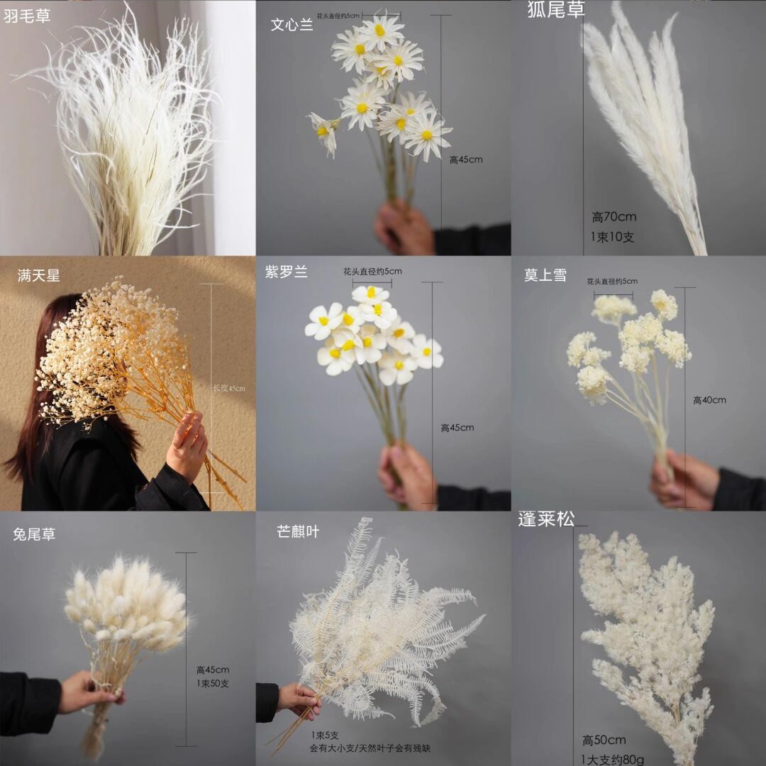 Baby Breath Dried - Ins-Style Heimdekoration, Hochzeitshintergrund, Trockenblumen, konservierte Blumen,