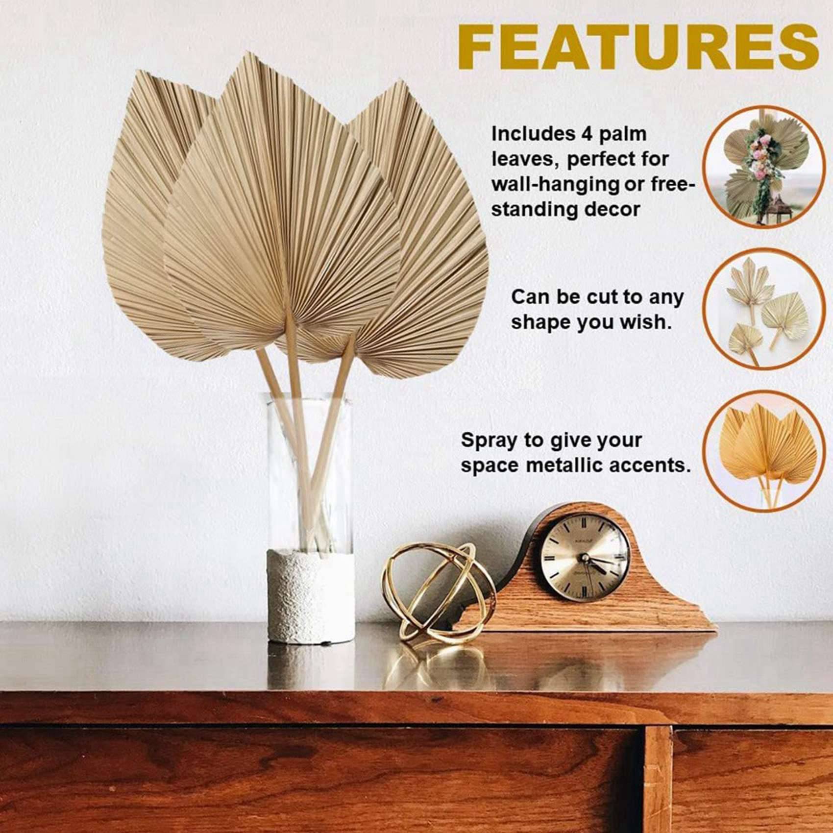 8 Stück natürliche getrocknete – Palm Leaf Dried Bewertung und Preis