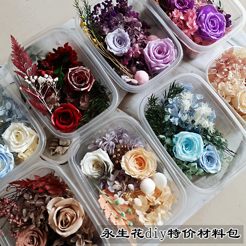 Ewige Blumen, Schleierkraut, G – Baby Breath Dried Bewertung und Preis