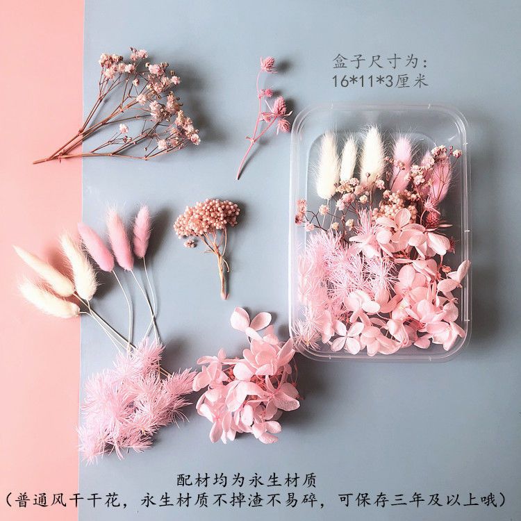 Ewige Blumen, Schleierkraut, G – Baby Breath Dried Bewertung und Preis