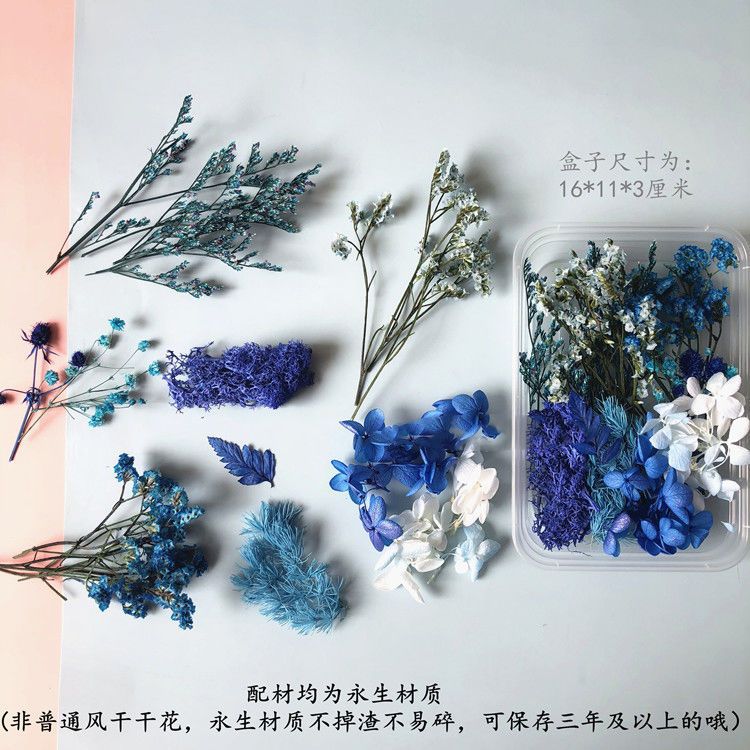 Ewige Blumen, Schleierkraut, G – Baby Breath Dried Bewertung und Preis