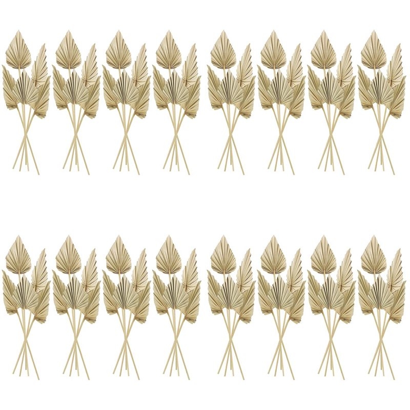 80 Stück Boho Getrocknete Palm – Palm Leaf Dried Bewertung und Preis