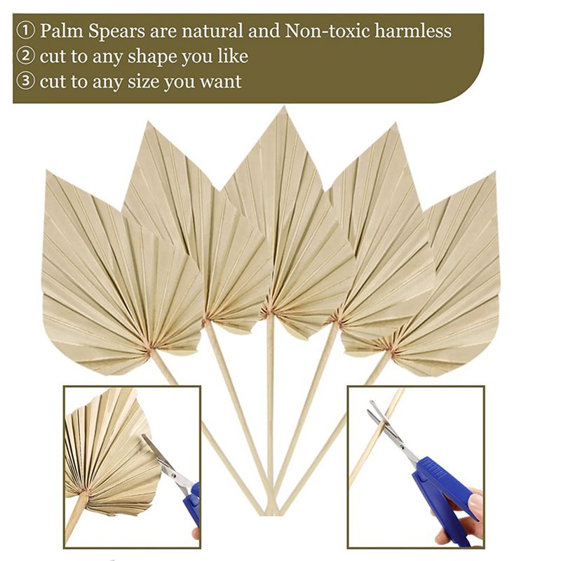 80 Stück Boho Getrocknete Palm – Palm Leaf Dried Bewertung und Preis