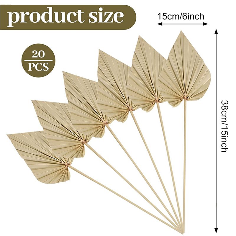 80 Stück Boho Getrocknete Palm – Palm Leaf Dried Bewertung und Preis