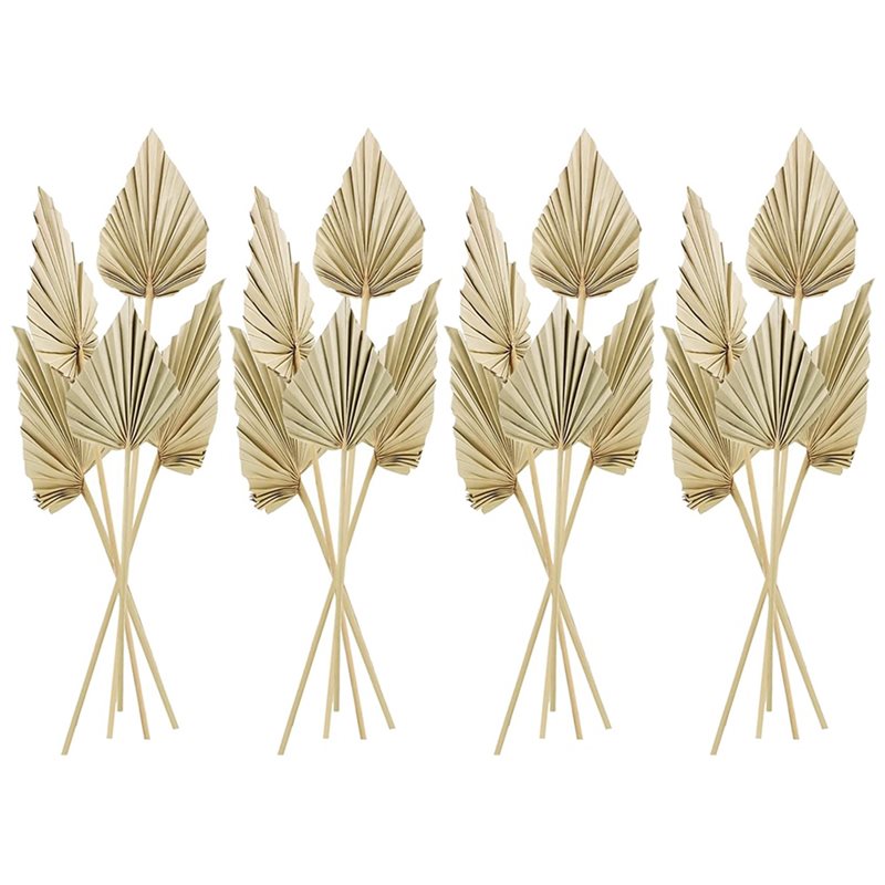 80 Stück Boho Getrocknete Palm – Palm Leaf Dried Bewertung und Preis