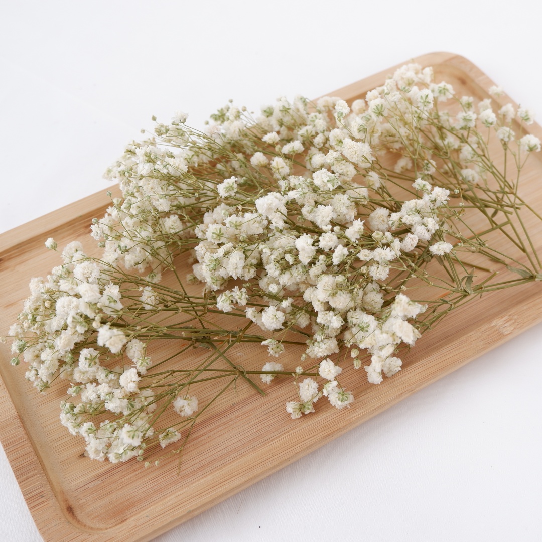 Getrocknete Blumen, weiße Mini – Baby Breath Dried Bewertung und Preis