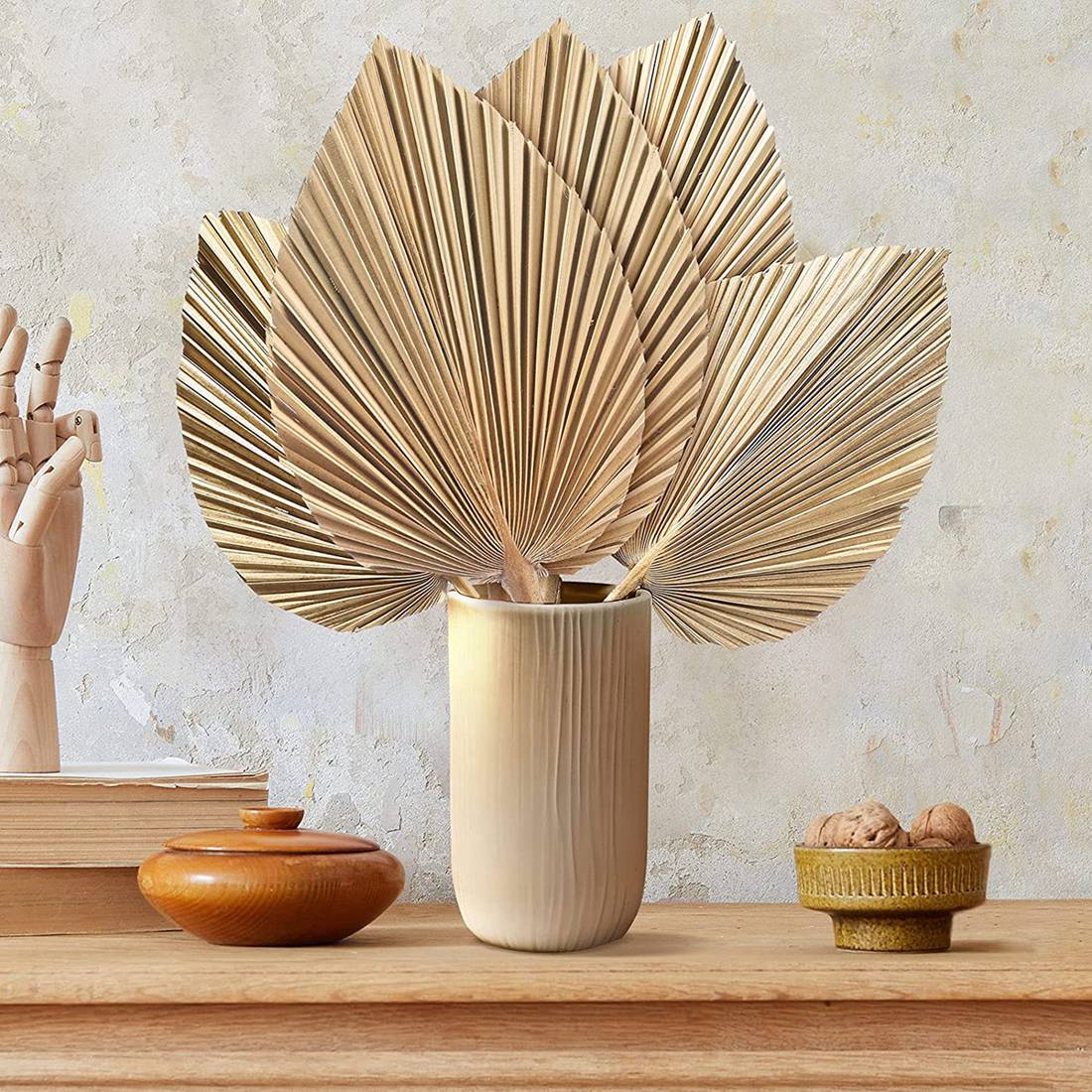 5 Stücke Natürliche Getrocknet – Palm Leaf Dried Bewertung und Preis