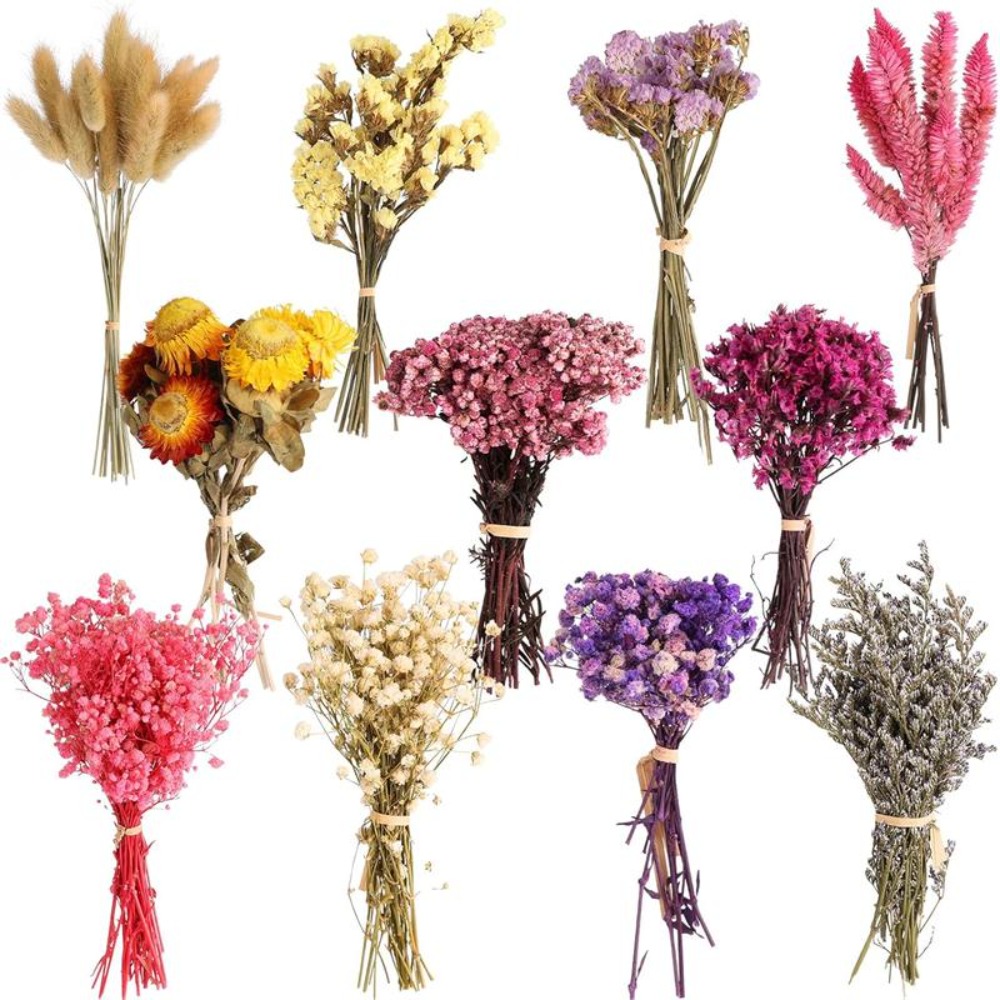 DIY Kleiner Blumenstrauß Mini  – Baby Breath Dried Bewertung und Preis