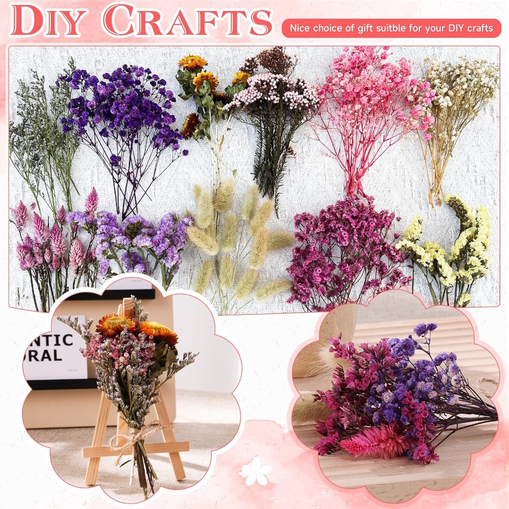 DIY Kleiner Blumenstrauß Mini  – Baby Breath Dried Bewertung und Preis