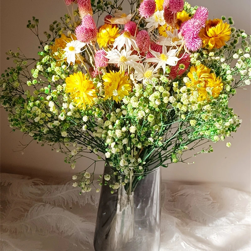 Natürliche getrocknete Blumen  – Baby Breath Dried Bewertung und Preis