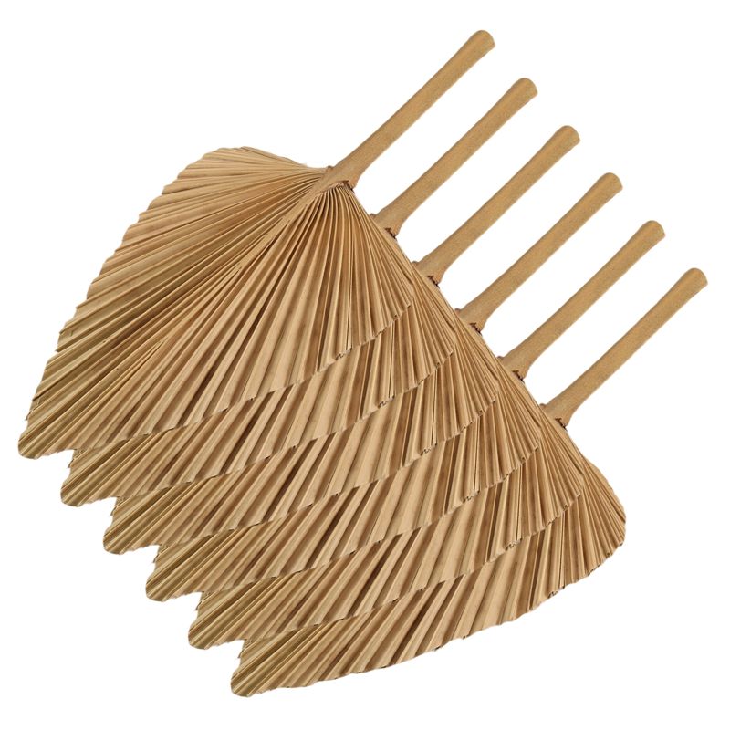 AT84-6PCS Getrocknete Palmblät – Palm Leaf Dried Bewertung und Preis