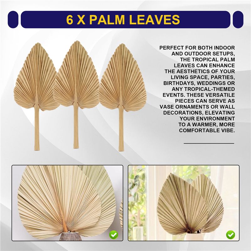 AT84-6PCS Getrocknete Palmblät – Palm Leaf Dried Bewertung und Preis