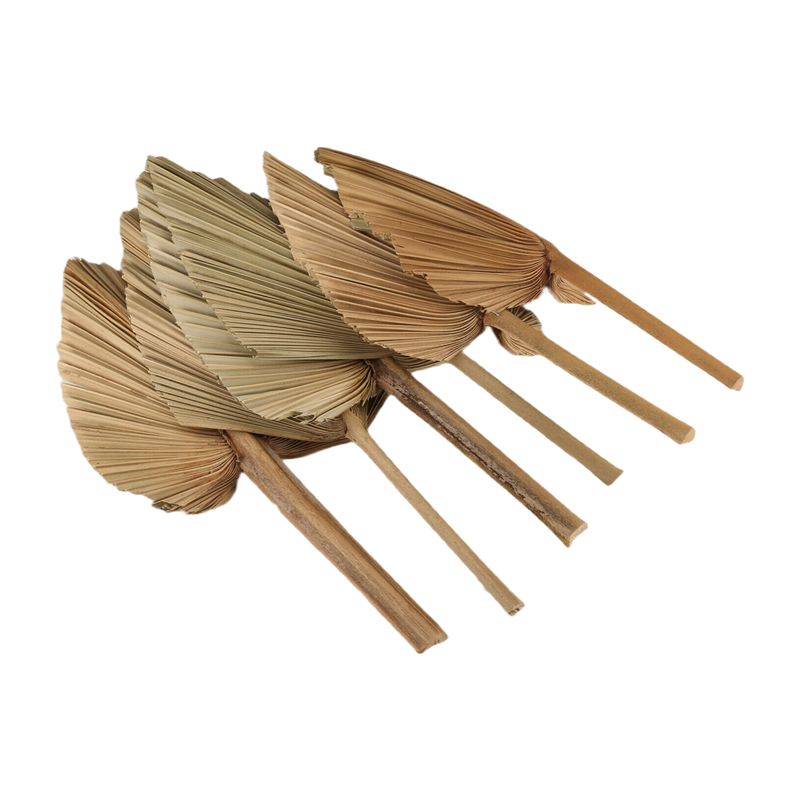AT84-6PCS Getrocknete Palmblät – Palm Leaf Dried Bewertung und Preis