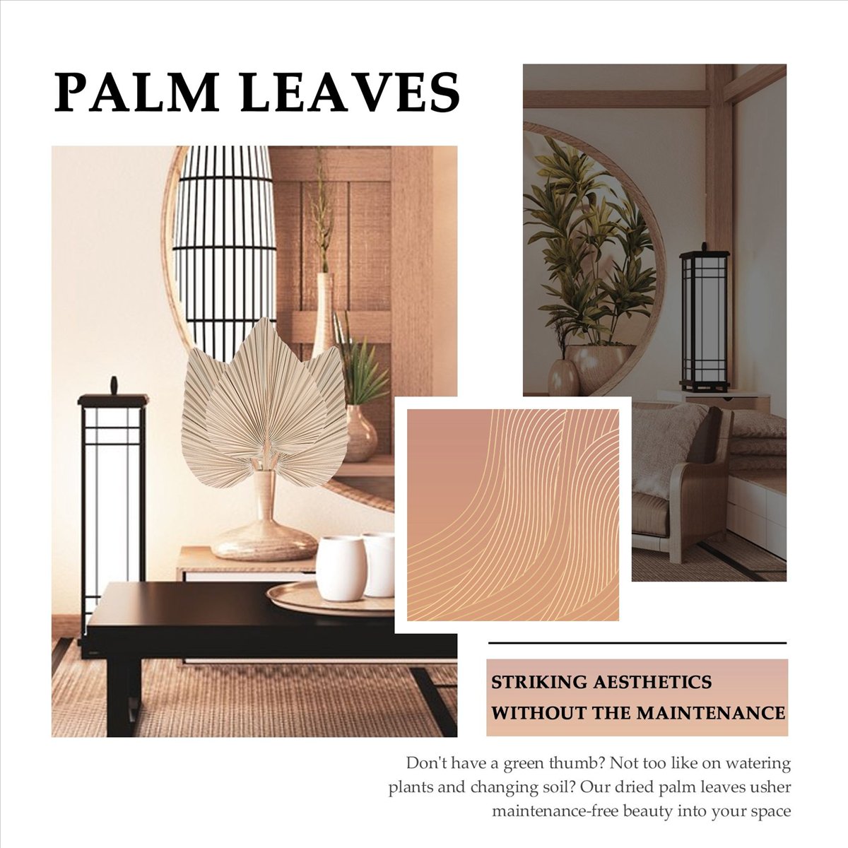 NOCM Getrocknete Palmblätter R – Palm Leaf Dried Bewertung und Preis