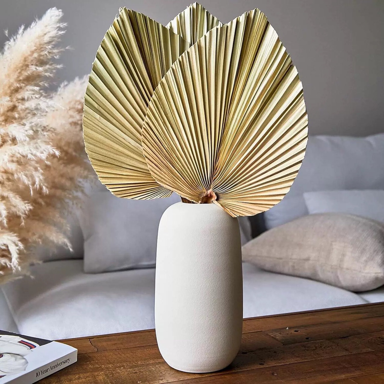 3 Stück Natürliche Getrocknete – Palm Leaf Dried Bewertung und Preis