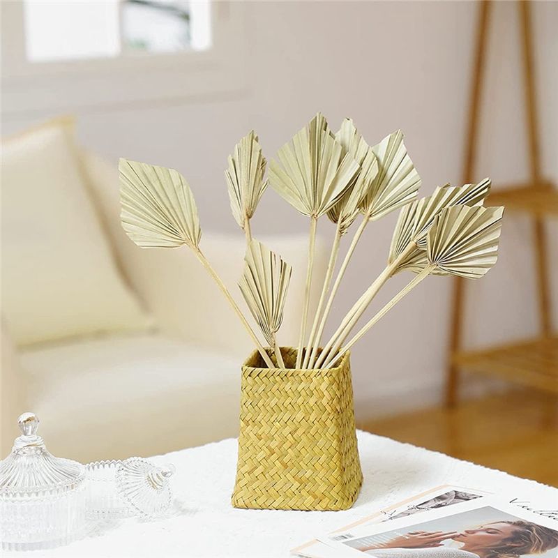AS60-30 Stück Boho Getrocknete – Palm Leaf Dried Bewertung und Preis