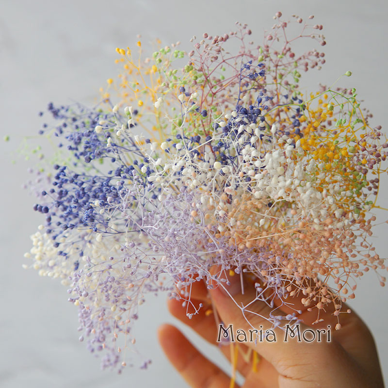5g/Mini Baby Breath Getrocknet – Baby Breath Dried Bewertung und Preis