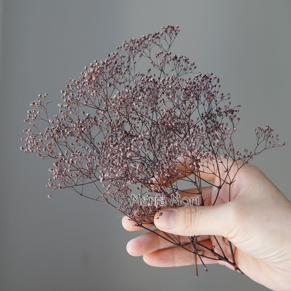 5g/Mini Baby Breath Getrocknet – Baby Breath Dried Bewertung und Preis