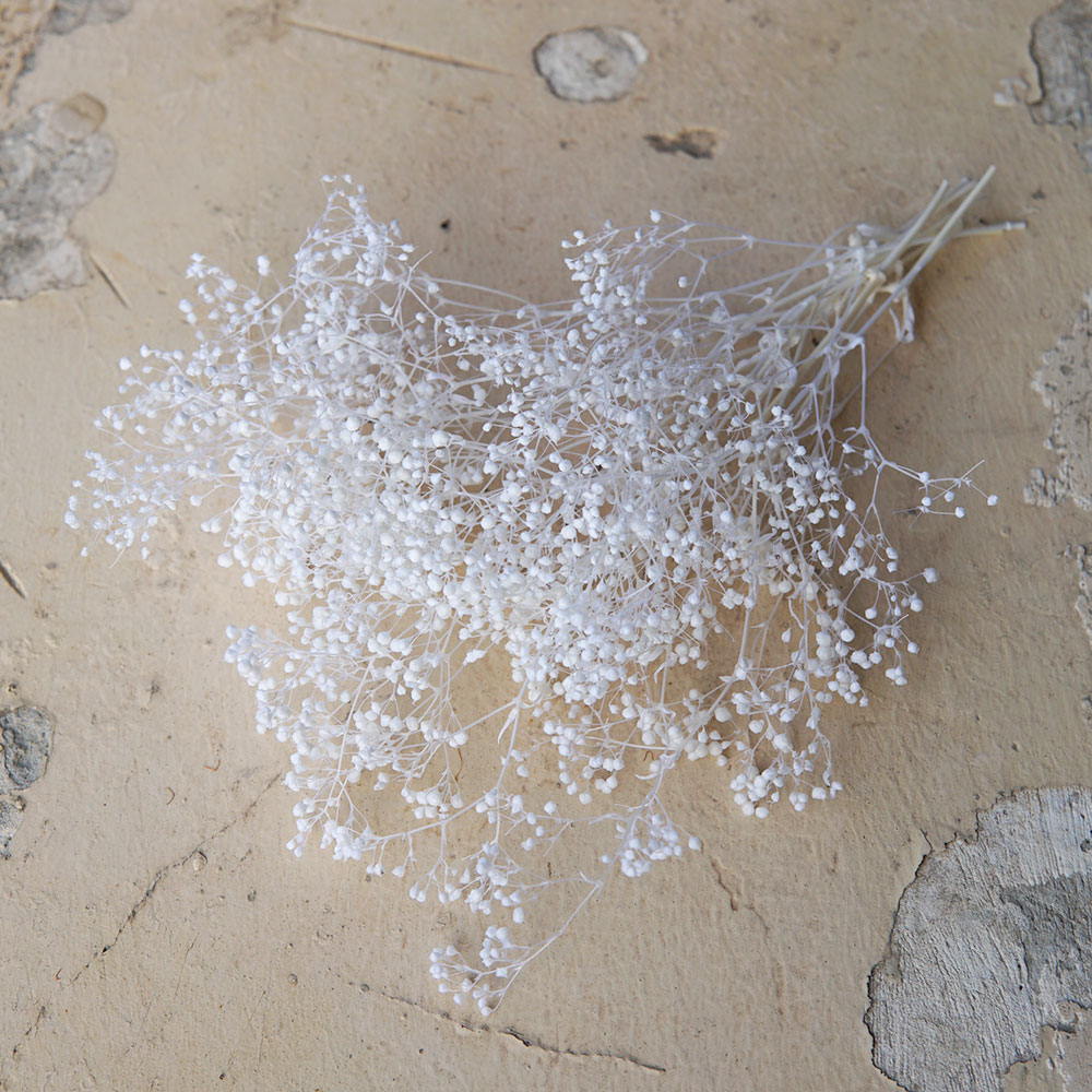 5g/Mini Baby Breath Getrocknet – Baby Breath Dried Bewertung und Preis