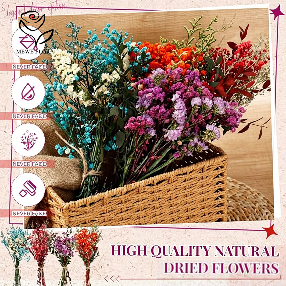 Bunte Getrocknete Blumen Natür – Baby Breath Dried Bewertung und Preis