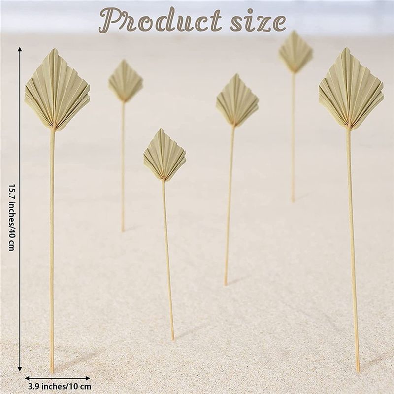 A36T-30 Stück Boho Getrocknete – Palm Leaf Dried Bewertung und Preis