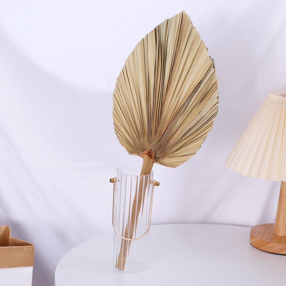 Party Büro Boho Geschnittene B – Palm Leaf Dried Bewertung und Preis