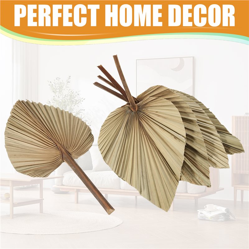 SEWS-5 Stück natürliche getroc – Palm Leaf Dried Bewertung und Preis