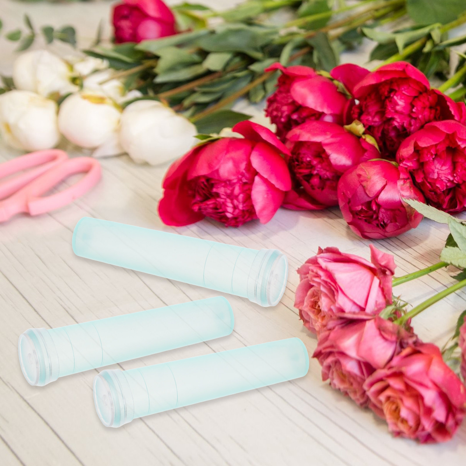 100 Stück Blumenkonservierungs – Florist Flower Supply Bewertung und Preis