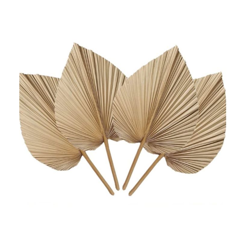 A27F-6 Stück natürliche tropis – Palm Leaf Dried Bewertung und Preis