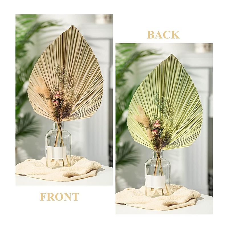 A27F-6 Stück natürliche tropis – Palm Leaf Dried Bewertung und Preis