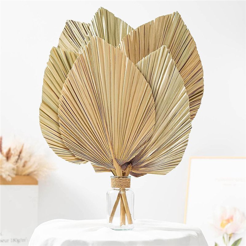 A27F-6 Stück natürliche tropis – Palm Leaf Dried Bewertung und Preis