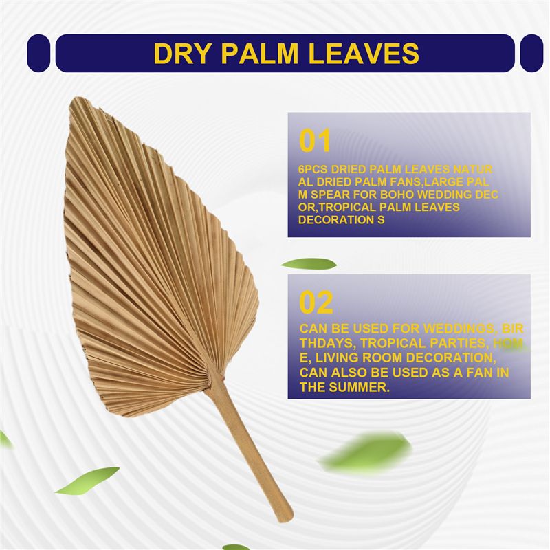 ABKO-6PCS Getrocknete Palmblät – Palm Leaf Dried Bewertung und Preis