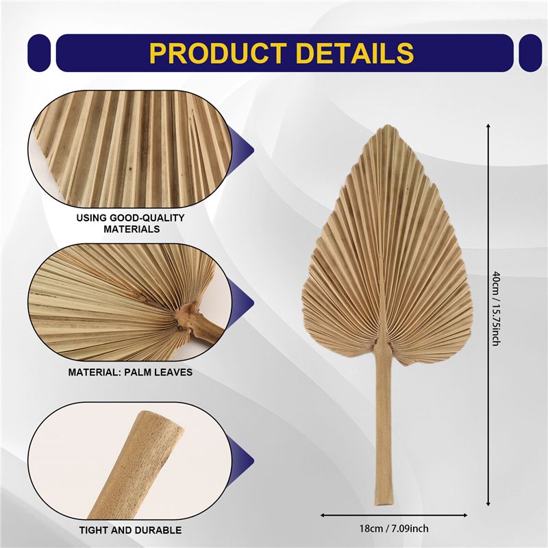 ABKO-6PCS Getrocknete Palmblät – Palm Leaf Dried Bewertung und Preis