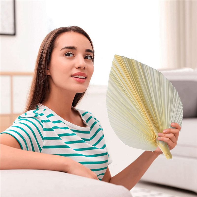 Große Weiße Getrocknete Palmbl – Palm Leaf Dried Bewertung und Preis