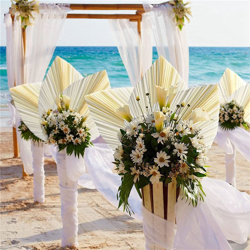 Große Weiße Getrocknete Palmbl – Palm Leaf Dried Bewertung und Preis