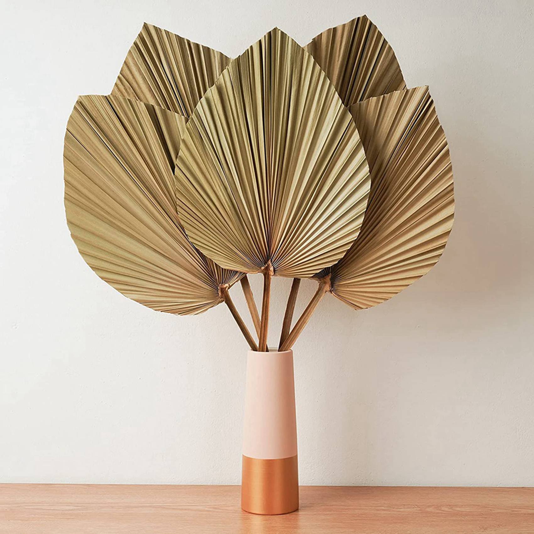 Getrocknete Palmblätter zur Ra – Palm Leaf Dried Bewertung und Preis
