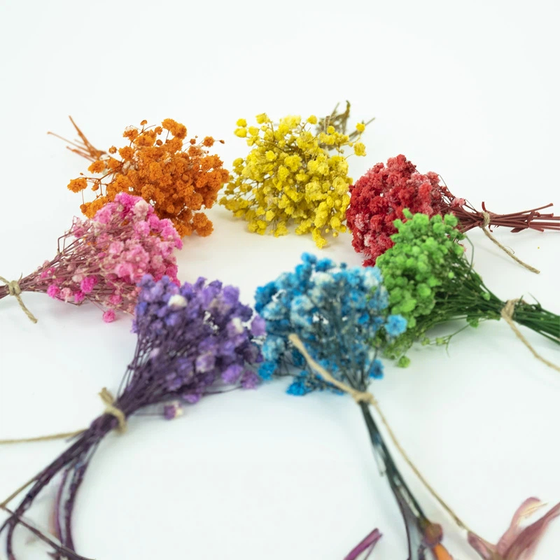 Getrocknete Schleierkrautblüte – Baby Breath Dried Bewertung und Preis