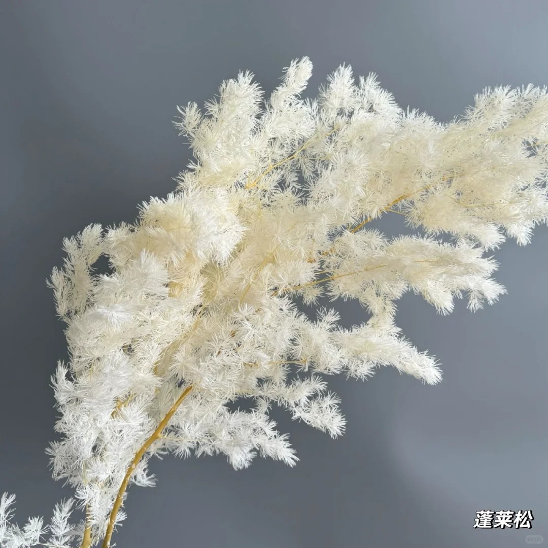 Ins-Style Heimdekoration, Hoch – Baby Breath Dried Bewertung und Preis